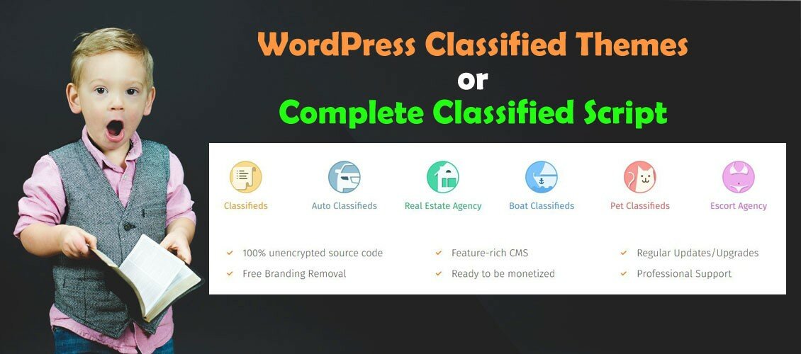 Classified Script or WordPress Classified Themes? Choose Yourself! 5